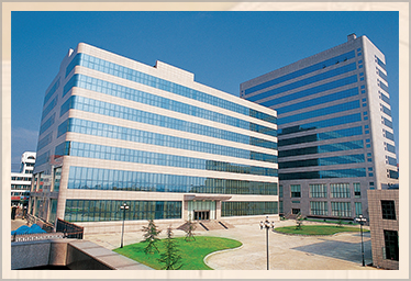 撸撸社下载最新版本安卓获取实木家具 撸撸社下载最新版本安卓获取实木家具